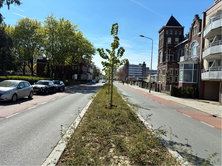 Groenstroken Scharnerweg