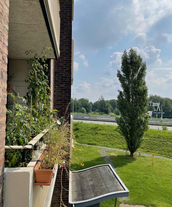 Een kleine groene oase langs de snelweg uit je dak prijs 