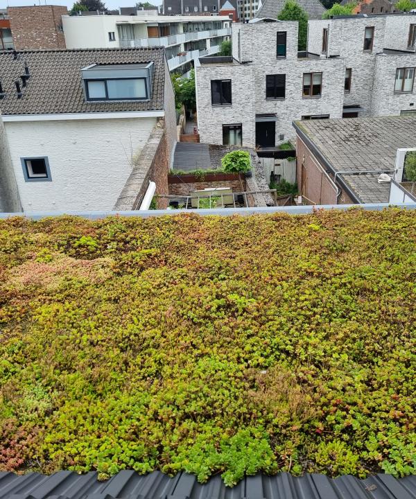 Groene daken uit je dak prijs