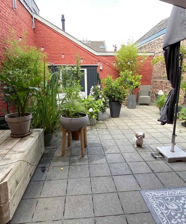 Groot dakterras midden in de stad