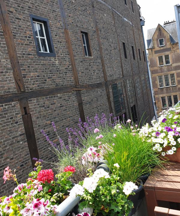 Hartje centrum kleurt groen