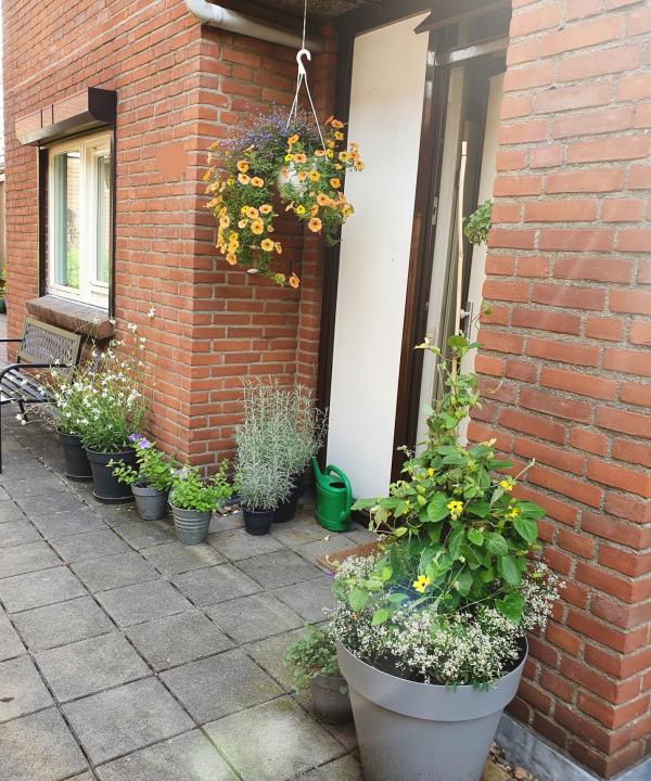 Voortuin op 10 meter hoogte